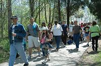 NAMIWalk07 (373) 